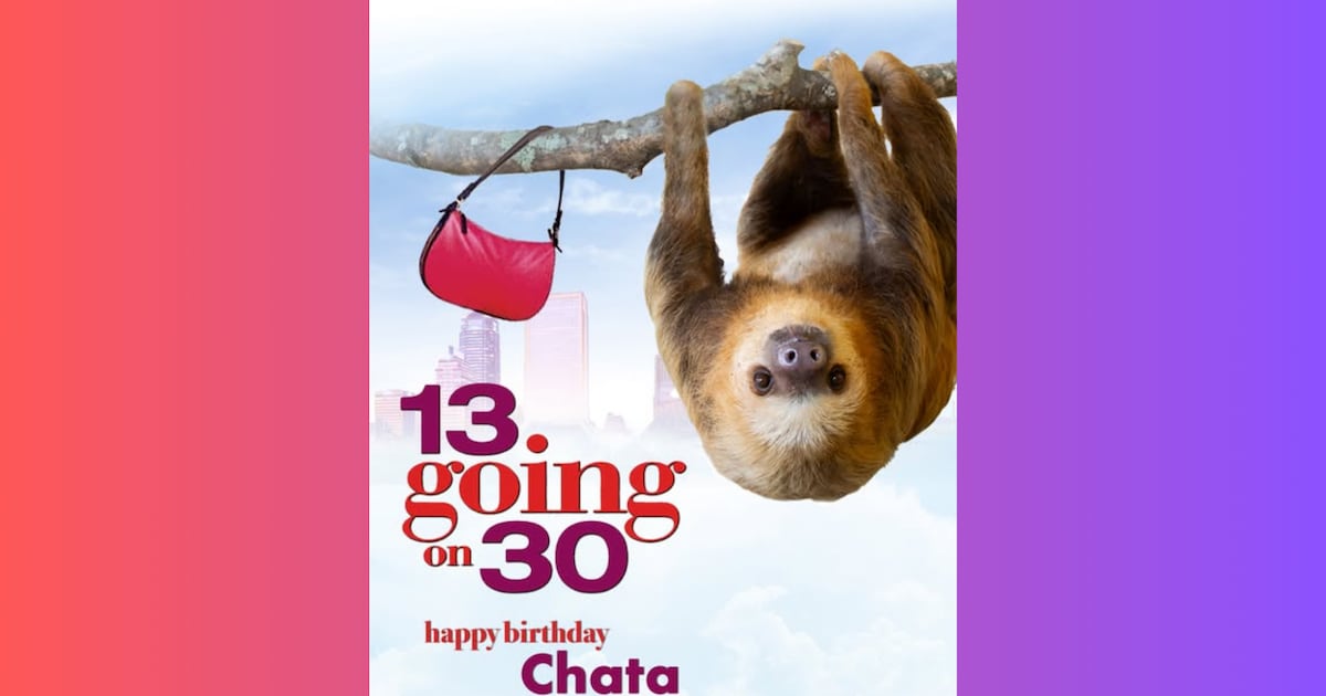 Jacksonville Zoo throws ‘13 Going on 30’ birthday bash for Chata the sloth