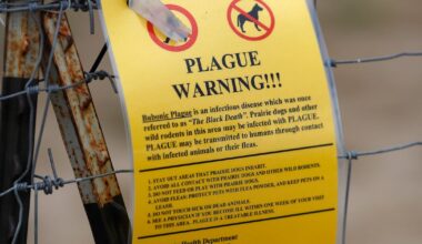 Health officials report first plague death since 2007 – WHIO TV 7 and WHIO Radio