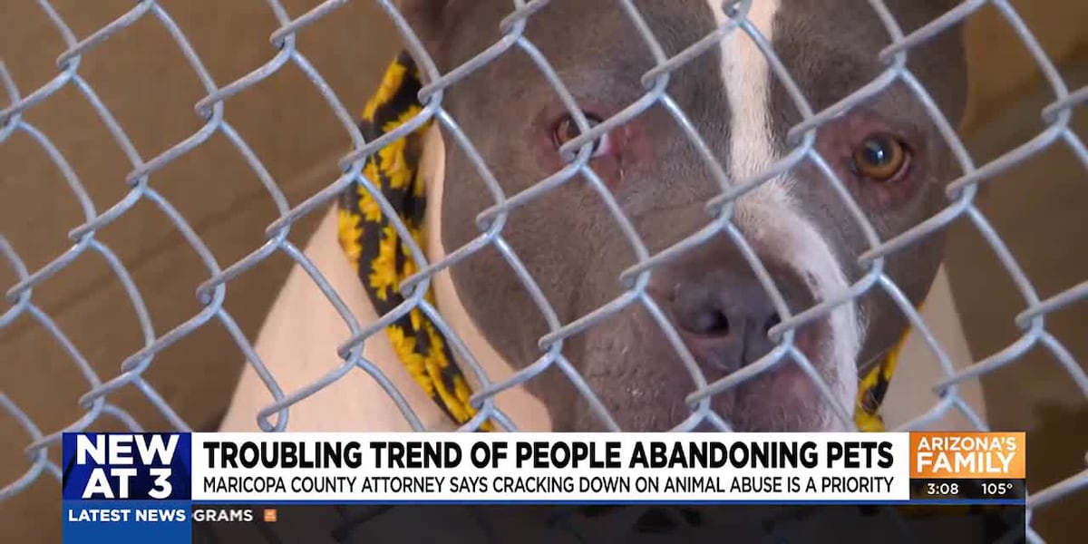 Growing number of abandoned pets around Phoenix
