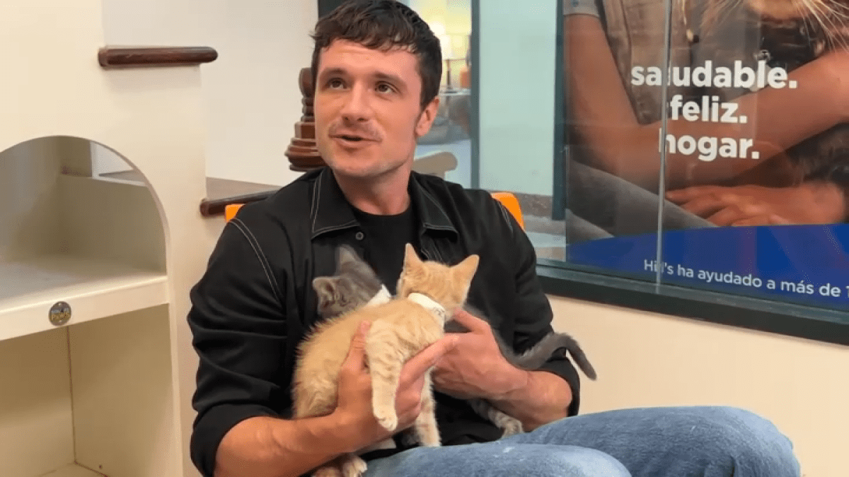 Josh Hutcherson volunteers at Pasadena animal shelter – NBC Los Angeles