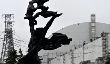 Chernobyl disaster site has nothing growing, except this organism that is thriving on radiation