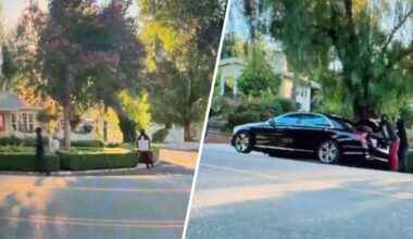 Tesla records home robbery and attempted getaway in Woodland Hills – NBC Los Angeles