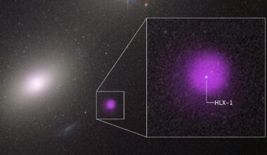 Scientists Spot an Exceptionally Rare 'Intermediate' Black Hole Eating a Star