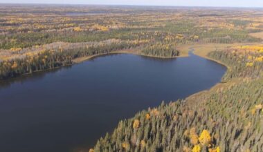 Wildfires send Canada's carbon emissions soaring. And our peatlands emit even more