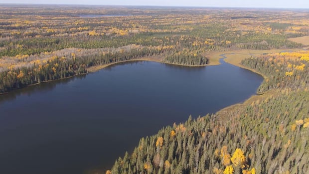 Wildfires send Canada's carbon emissions soaring. And our peatlands emit even more