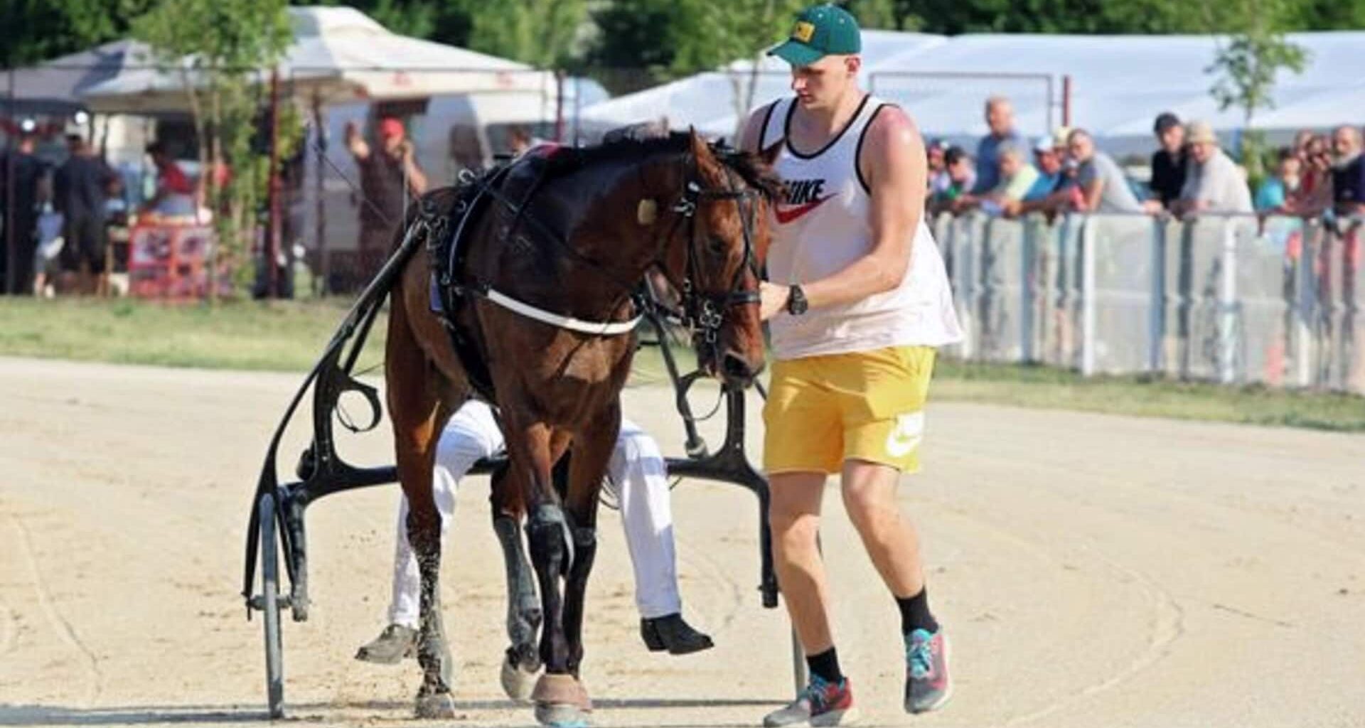 When Nikola Jokic visits Philly, his love for horses and hoops collide