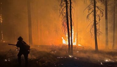Dragon Bravo Fire: Arizona lawmakers demand investigation