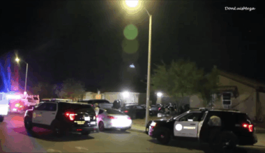 Man dies after being mauled by dogs in Lancaster – NBC Los Angeles