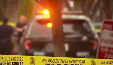 1 in custody after shooting in Granada Hills neighborhood – NBC Los Angeles