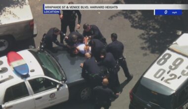 LAPD executes PIT maneuver to end pursuit involving assault suspect