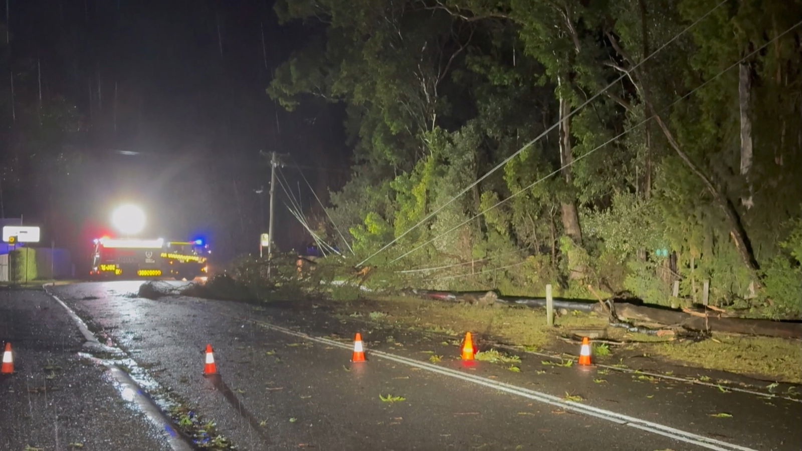 A fire truck with a shining spotlight on a road blocked off with hazard cones alongside downed trees