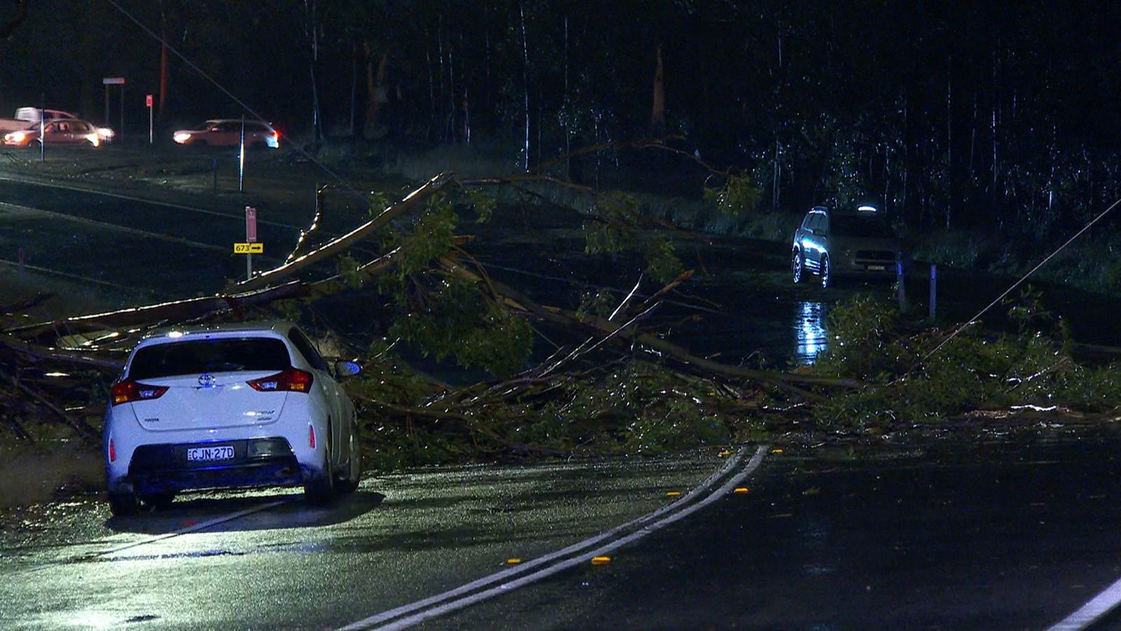 A white car stopped on a dark roadway at night in front of downed trees and power lines
