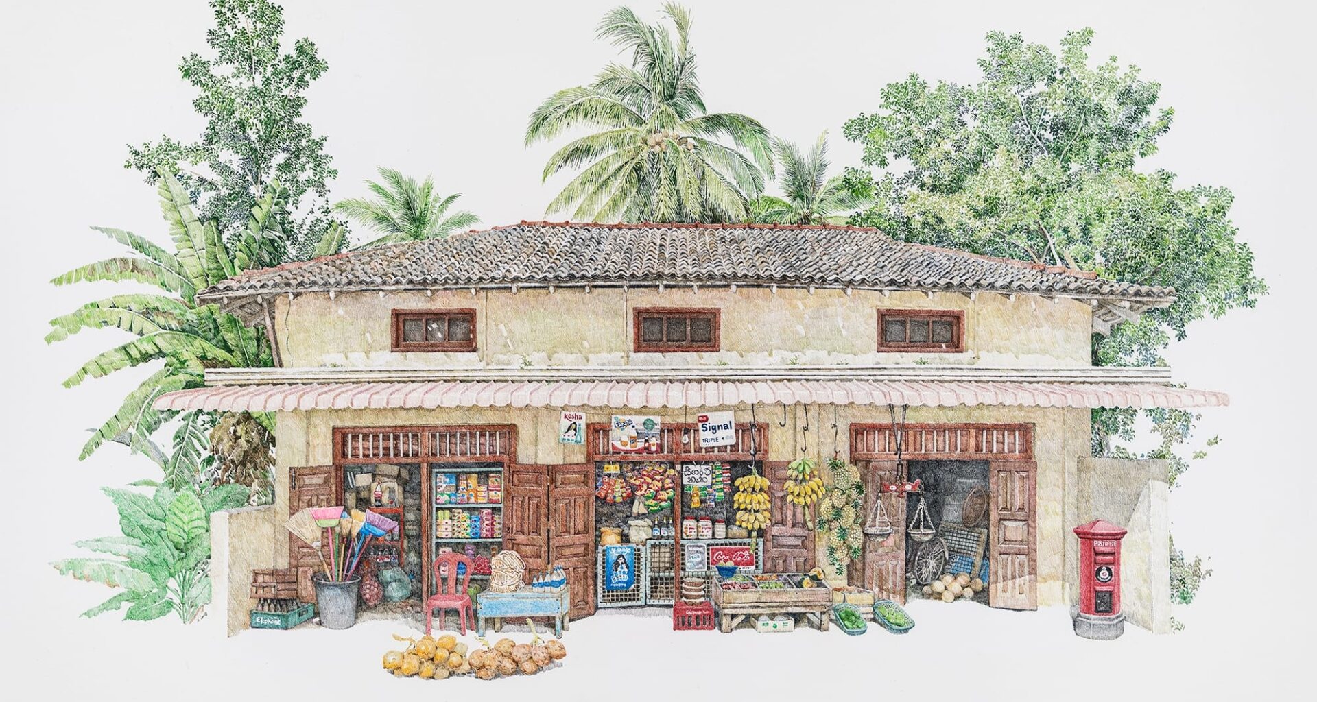a delicate drawing of a small shop with a tree