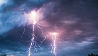 Lightning Kills Way More Trees Than Anyone Thought, New Research Suggests