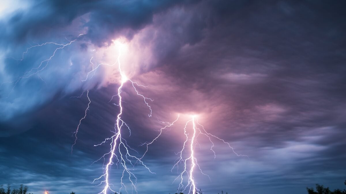 Lightning Kills Way More Trees Than Anyone Thought, New Research Suggests