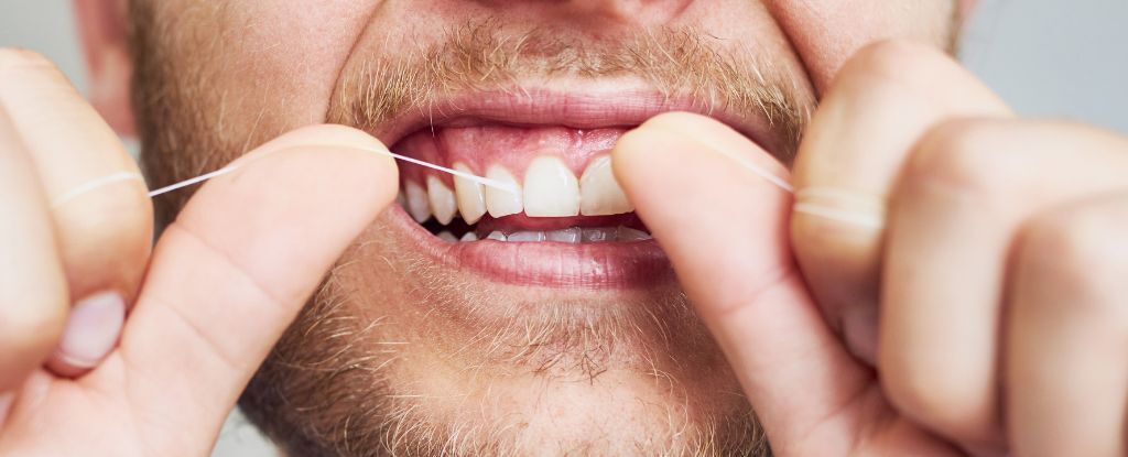 New Kind of Dental Floss Could Replace Vaccine Needles, Study Finds : ScienceAlert