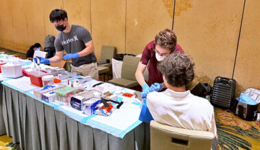 person getting their blood drawn