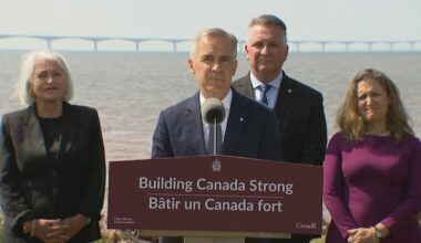 Ottawa makes good on promise to cut Confederation Bridge tolls, ferry fares in Eastern Canada