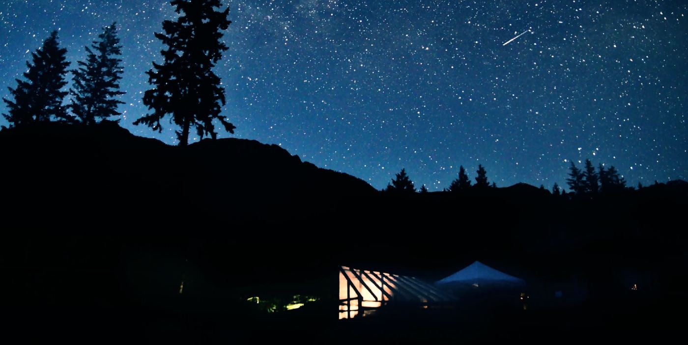 Two Meteor Showers Will Peak on the Same Night in July and Be Visible in the U.S.