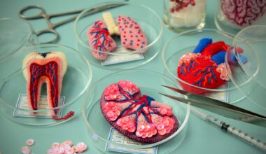 a group of felted brooches, sitting in petri dishes, in the shape of anatomical organs
