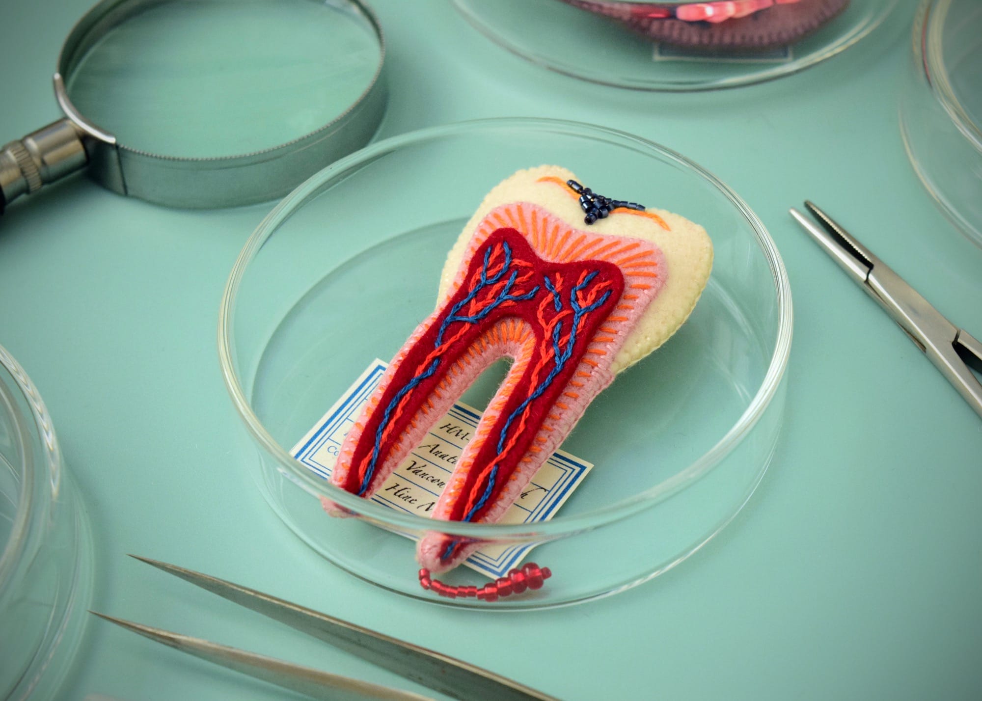 a felted brooch in the shape of an anatomical tooth