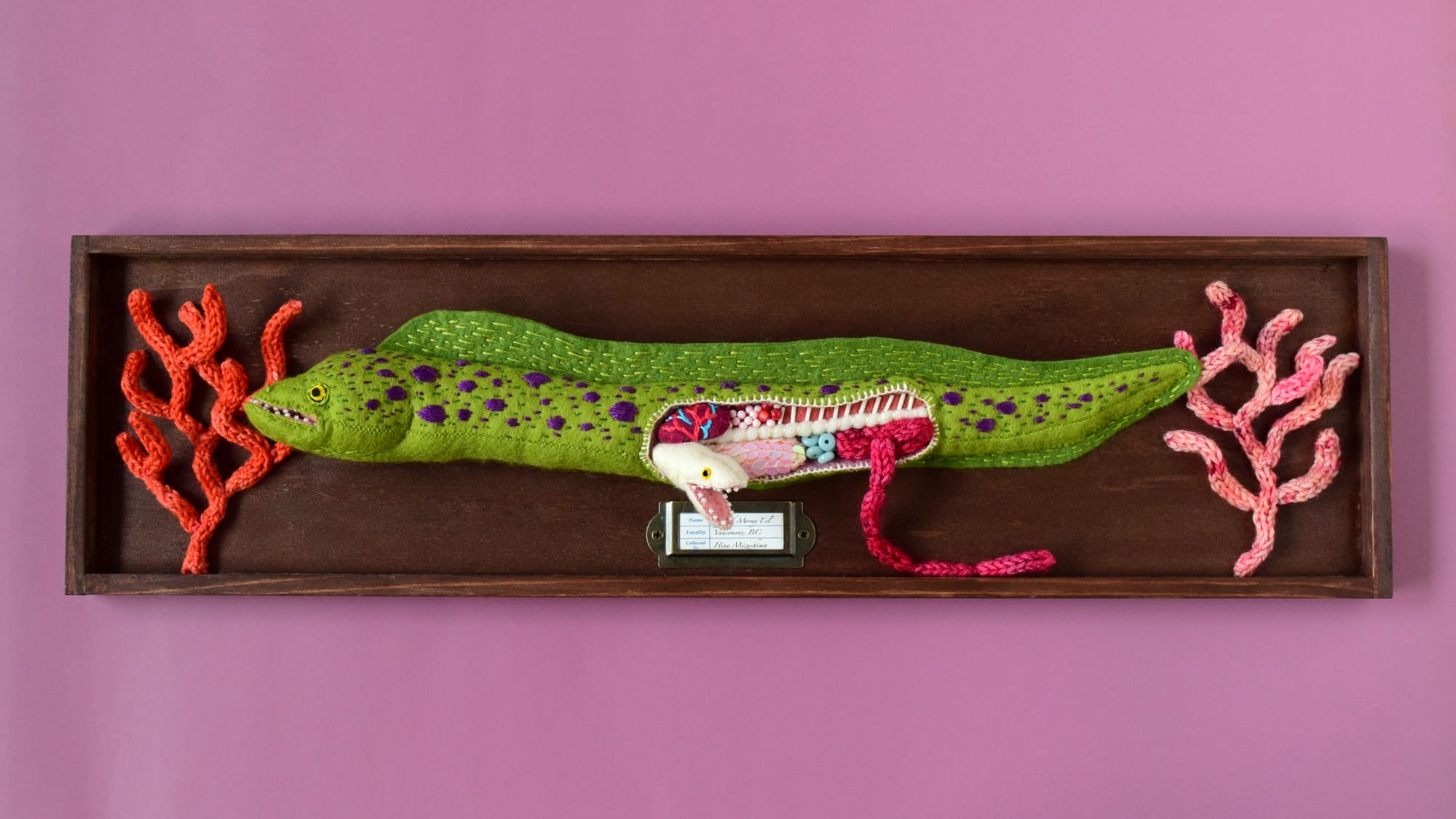 a felted sculpture of a moray eel with its anatomical cutaway belly showing a baby inside, mounted on a wood plaque