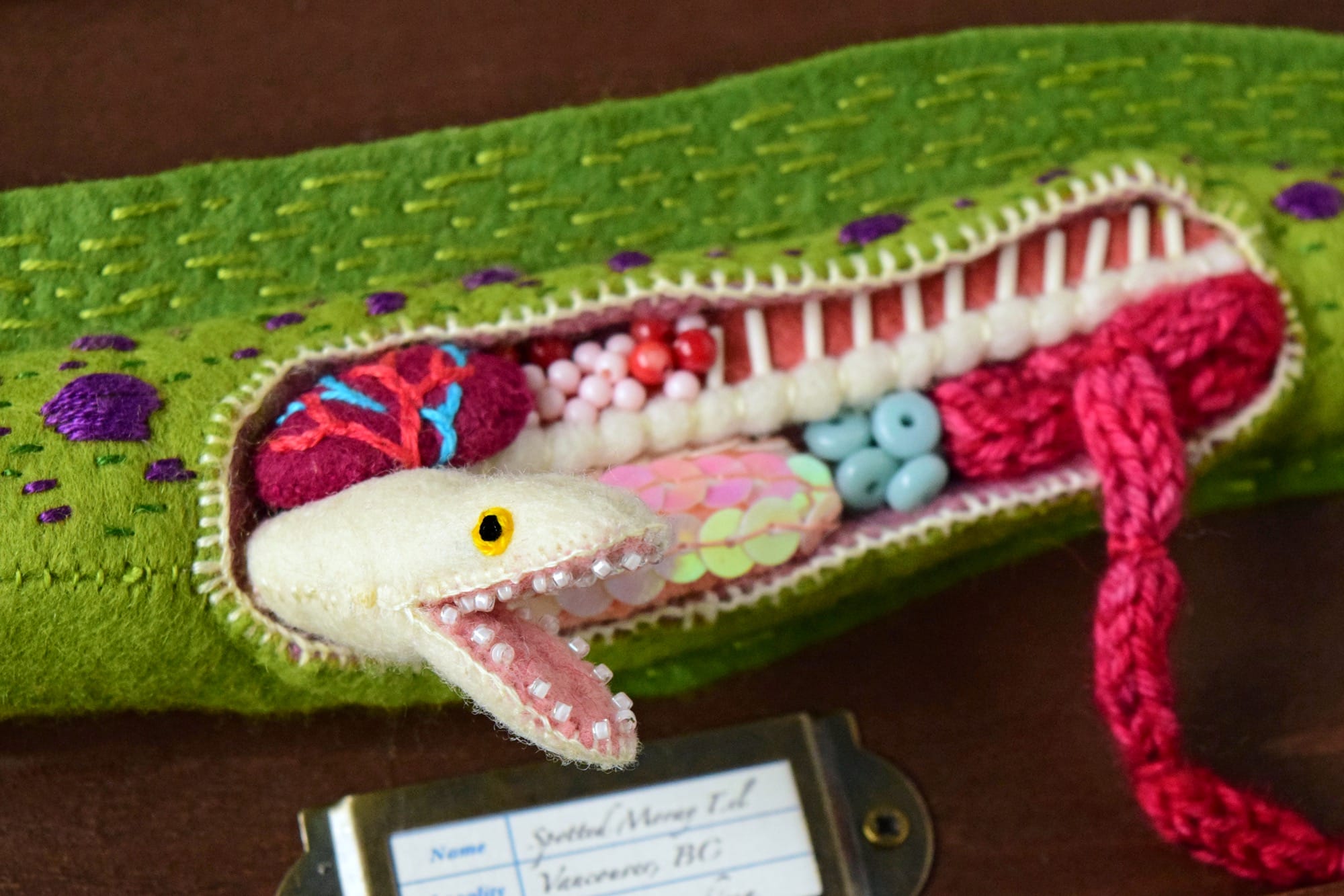 detail of a baby moray eel in an anatomical felt sculpture