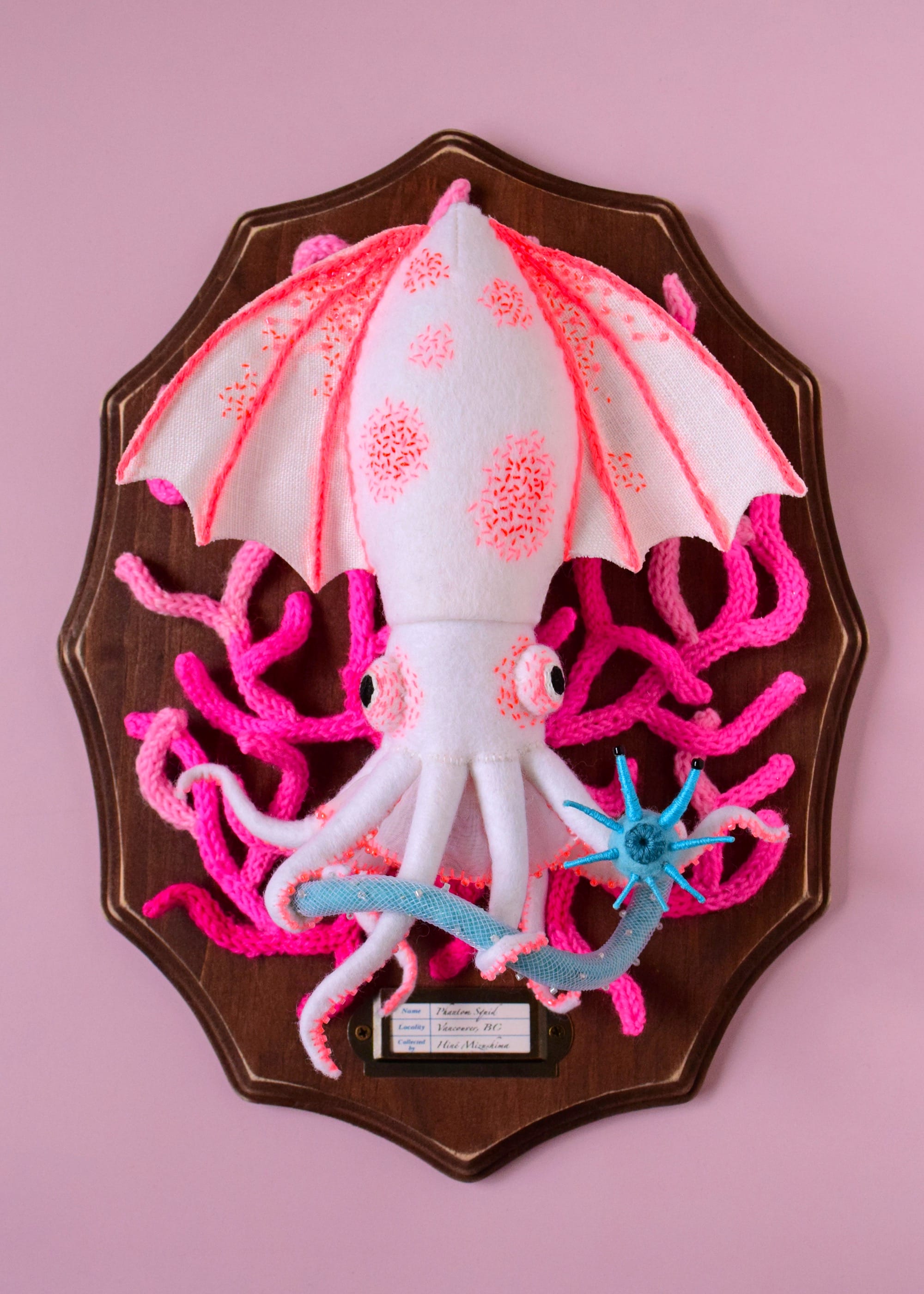 a felted sculpture of a pink "phantom squid" mounted on a wooden plaque