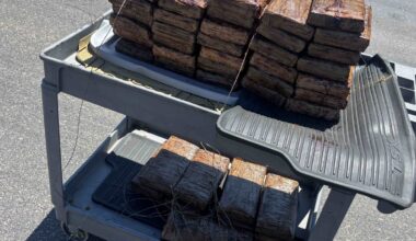 U.S. Border Patrol seizes nearly 130 Pounds of fentanyl inside flatbed trailer in Pine Valley – NBC 7 San Diego