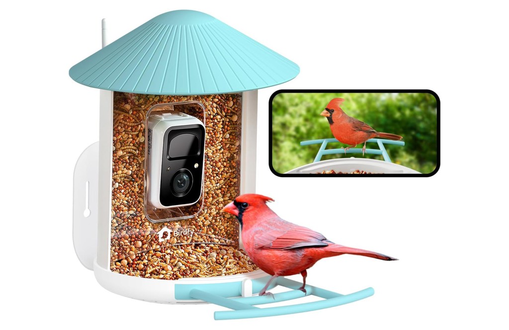 NETVUE by Birdfy Smart Bird Feeder with Camera, Bird Watching Camera, Auto Capture Video & Motion Detection, 1080P Live Steam, Cardinal Feeder Outdoor Wireless, Ideal Present for Backyard Birder, Blue
