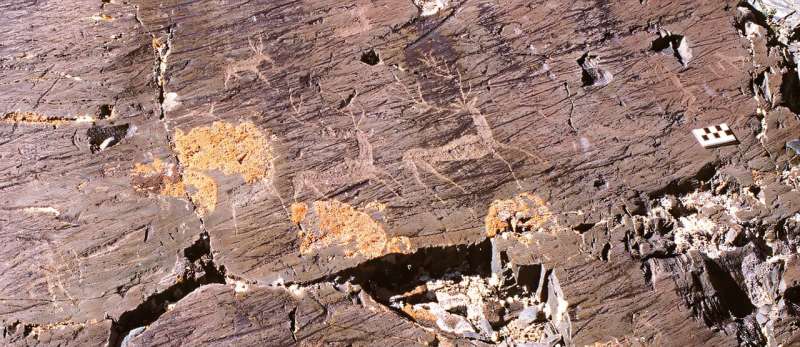 New STudy Reveals How Ancient Elk Rock Art Transformed from Realistc to Warped Wolf-Like Beasts