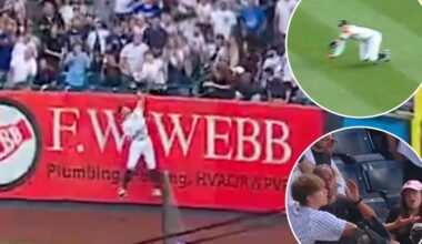 Yankees' Aaron Judge robs home run, makes diving catch