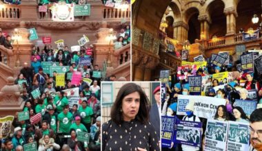 NY pols push IRS to probe nonprofit 'sanctuary' groups helping defy Trump, federal immigration laws