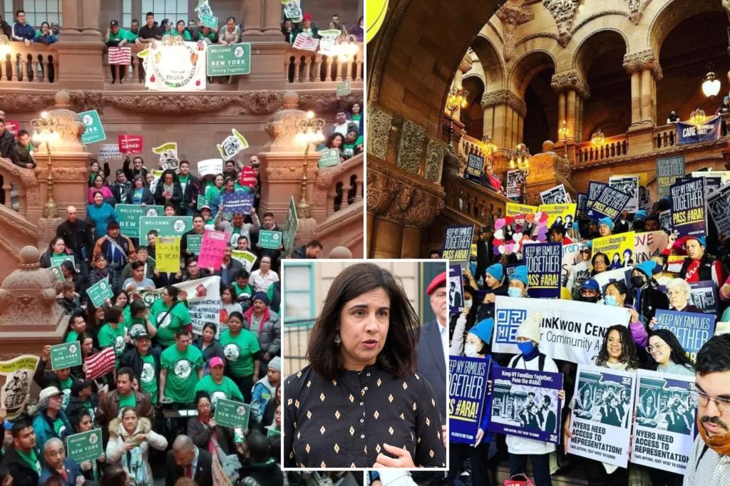 NY pols push IRS to probe nonprofit 'sanctuary' groups helping defy Trump, federal immigration laws
