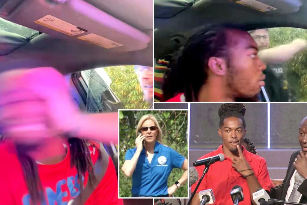 Florida police punch male driver called disturbing by Jacksonville Mayor Donna Deegan