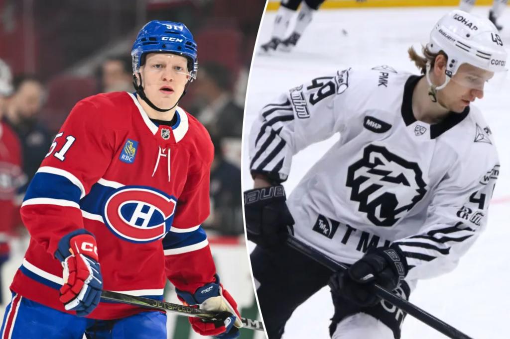 Islanders sign Emil Heineman, Maxim Shabanov on Day 2 of NHL free agency