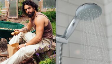 The healthy food you can grow in your bathroom — no sunlight needed