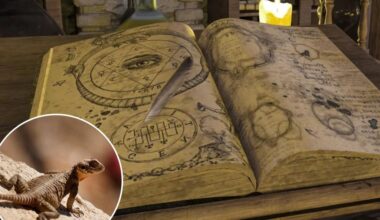 The surprising medical remedies of the Middle Ages
