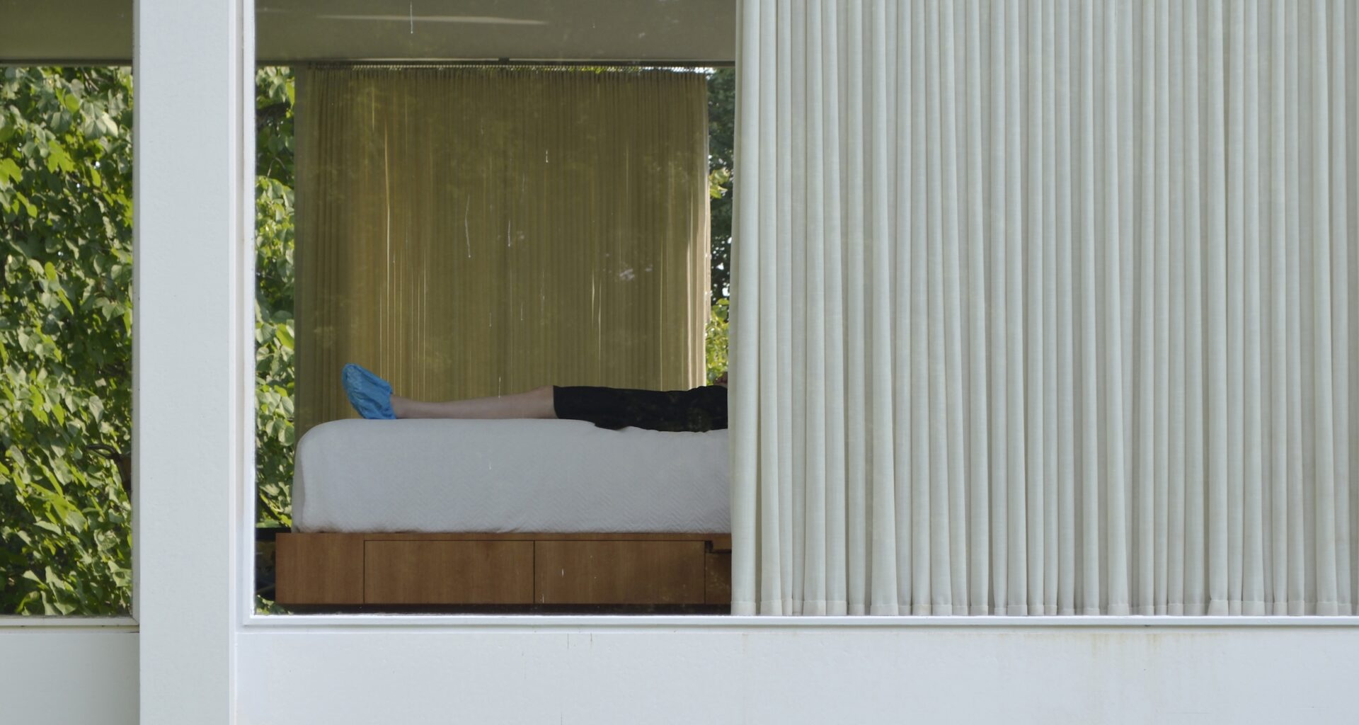 The Woman Behind the Iconic Glass House
