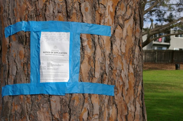 A notice of application from the San Diego Development Services Department about AT&T's cell tower proposal is taped to a tree at Collier Park, along with a handwritten note encouraging neighbors to attend community meetings about it. (Tyler Faurot)