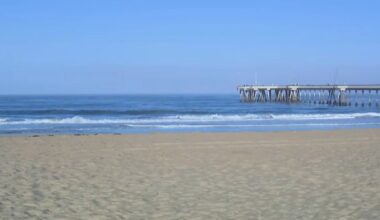 High bacteria levels reported at LA County beaches – NBC Los Angeles