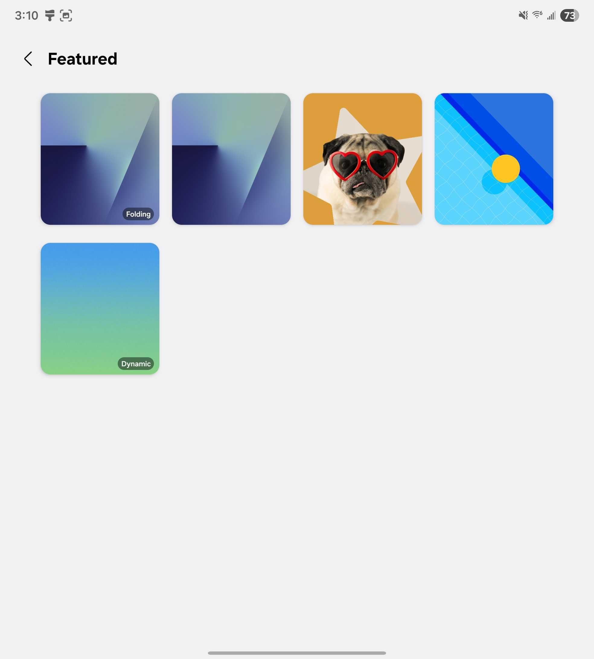 Dynamic Wallpaper in One UI 8 settings