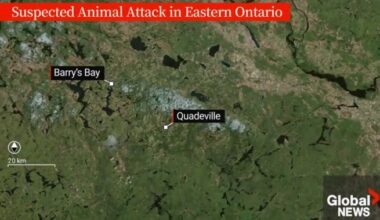 Teen charged in horrific attack on Ontario child police initially attributed to an animal