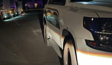 pedestrian south Phoenix dead struck by car...