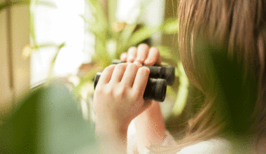 Top 5 spy books for kids, chosen by Cecily Sawyer author Iona Rangeley