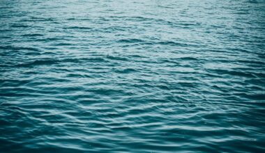 The body of an Arizona man was pulled from the Colorado River on Thursday night, authorities said....
