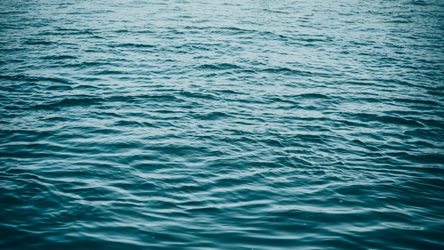The body of an Arizona man was pulled from the Colorado River on Thursday night, authorities said....