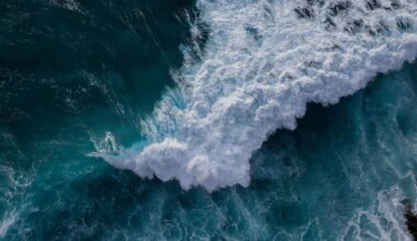 Tsunami alert