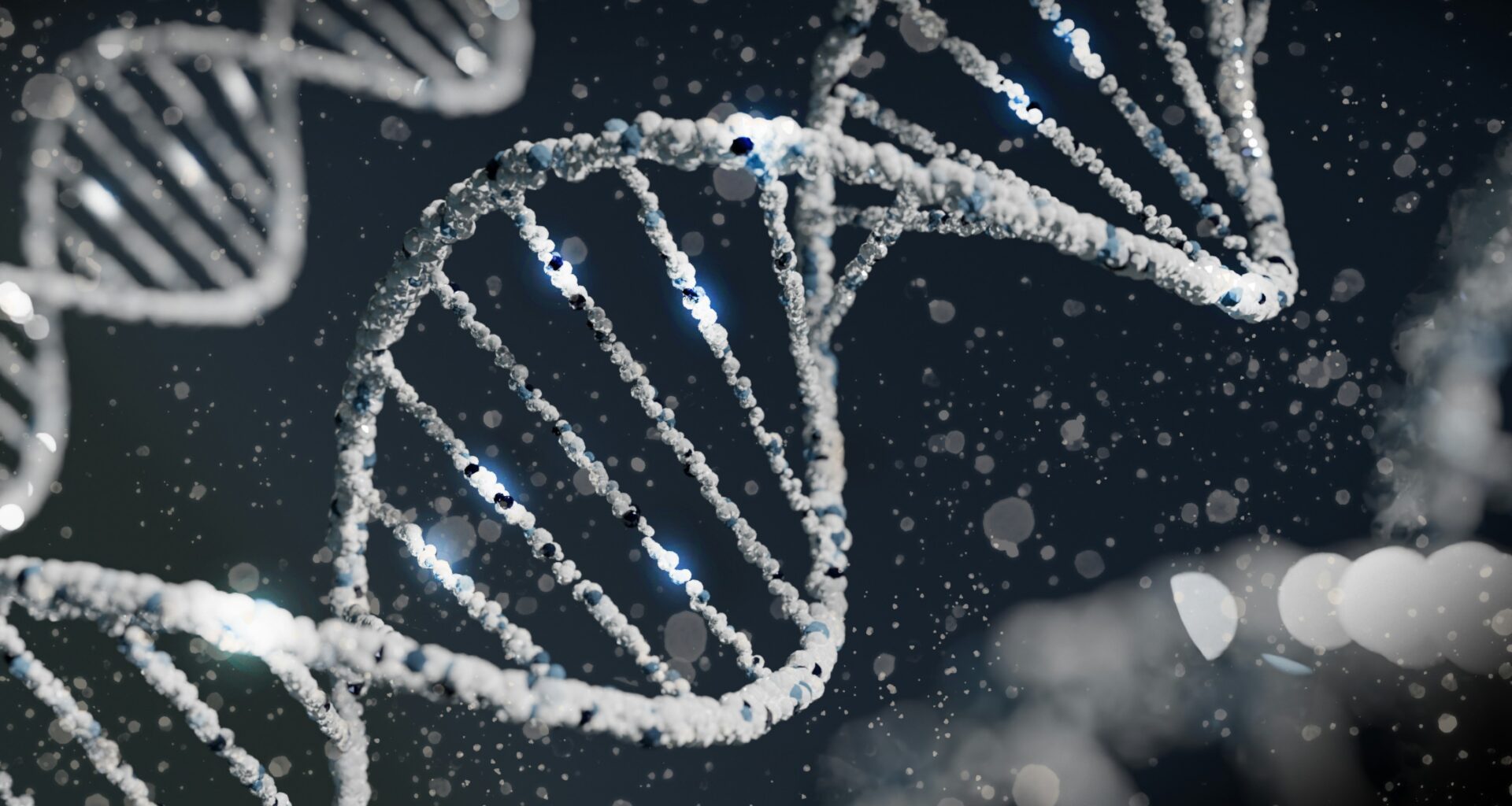 The Discovery of DNA and Its Importance in Genetics
