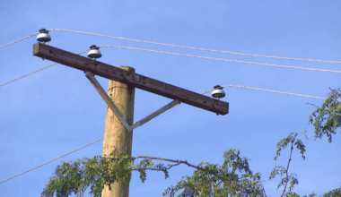 Some worry about power, electric bills with AC blasting in Chicago during heat wave